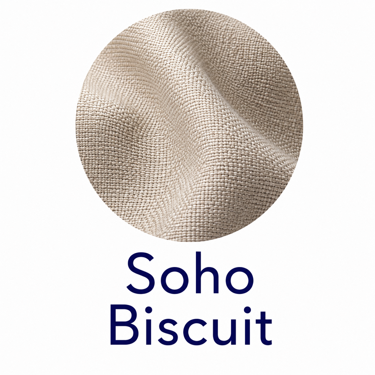 Soho Biscuit